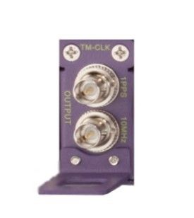 16715 Extreme Networks Optional Timing Module