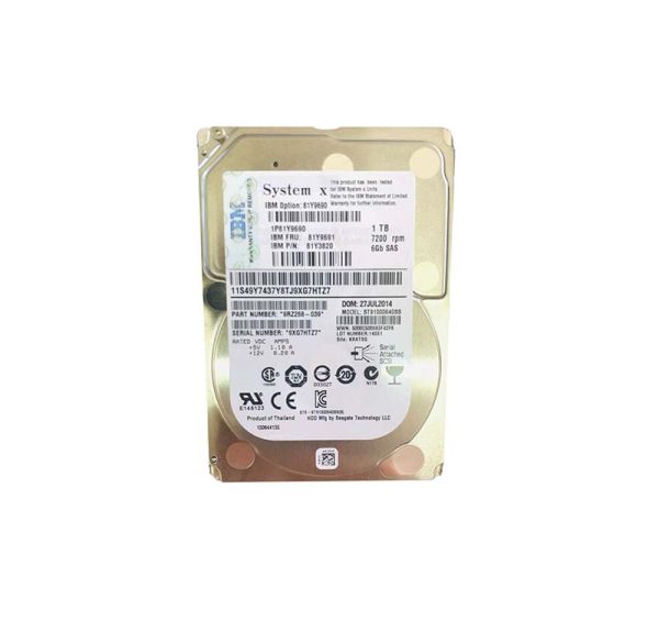 81Y3820 IBM 1TB 7200RPM SAS 6Gb/s Hot-Swappable 2.5-inch Hard Drive