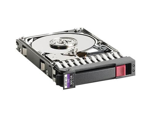 B006A2QH3G HP 300GB 10000RPM SAS 6GB/s 2.5-inch Hard Drive