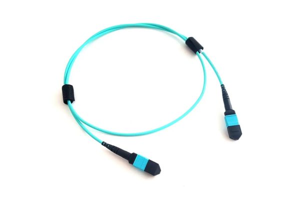 ONS-MPO24-2MPO12= Cisco Two 40G SR4 to 100G SR10, 2x12MPO-24MPO 20m CPAK cable