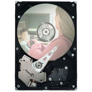 ST3500830ACE Seagate 500GB 7200RPM ATA-100 8MB Cache 3.5-inch Hard Drive