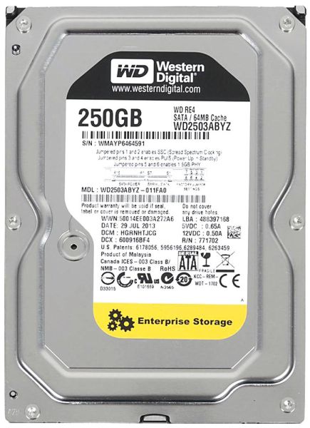 WD2503ABYZ Western Digital RE 250GB 7200RPM SATA 6Gb/s 64MB Cache 3.5-inch Hard Drive